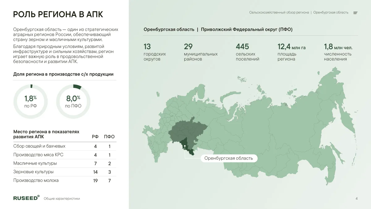 Дашборды